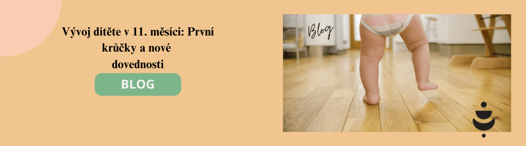 Bb_Vyvoj_ditete_v_11._mesici__Prvni_kucky_a_nove_dovednosti_ .png